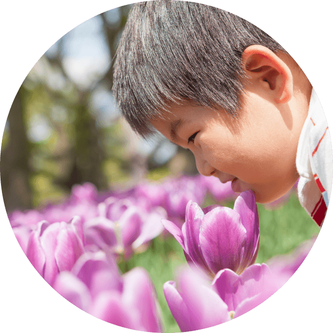 紫のチューリップと笑顔で顔を寄せる少年